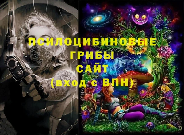 гидропоника Абаза