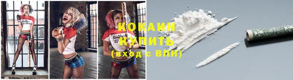 гидропоника Абаза
